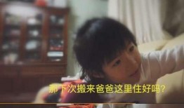 李纹妈妈爆料视频在线观看,揭秘明星家庭幕后故事