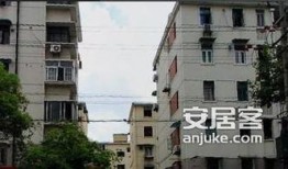 大连金虹西路最新爆料